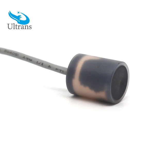 200 KHZ Ultrasonic Transducer for Lung Capacity Testing