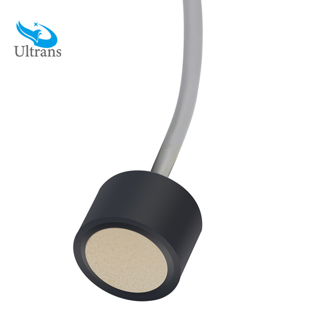 200 kHz Ultrasonic Transducer for Measuring Gas Speed and Gas Distance
